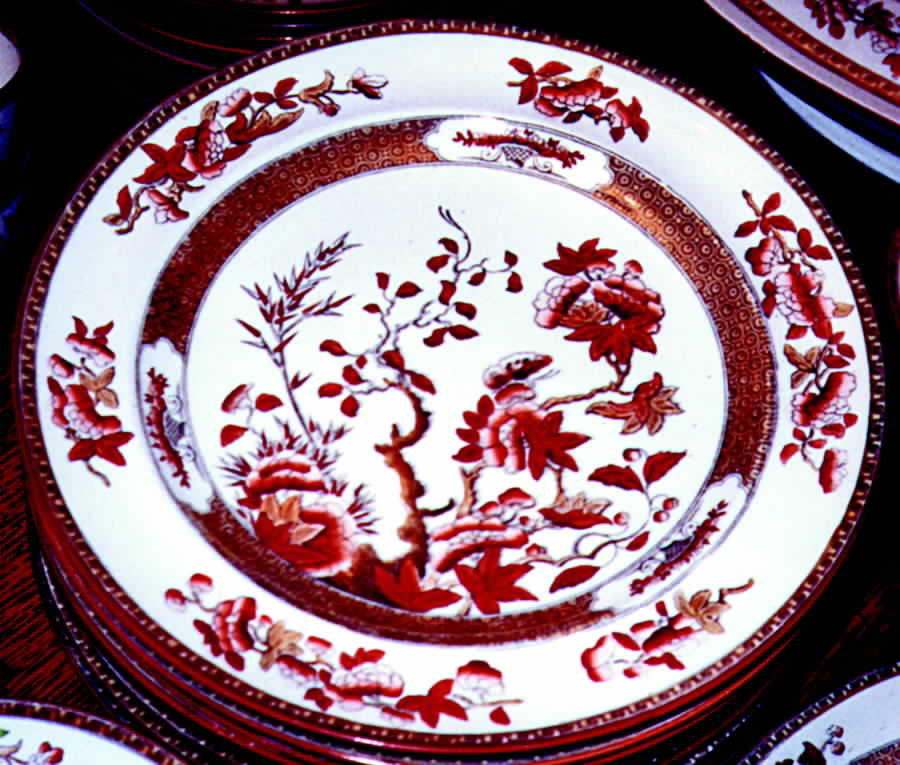 Indian Tree (Orange Rust, Smooth, Red Trim) Dinner Plate by Spode-1