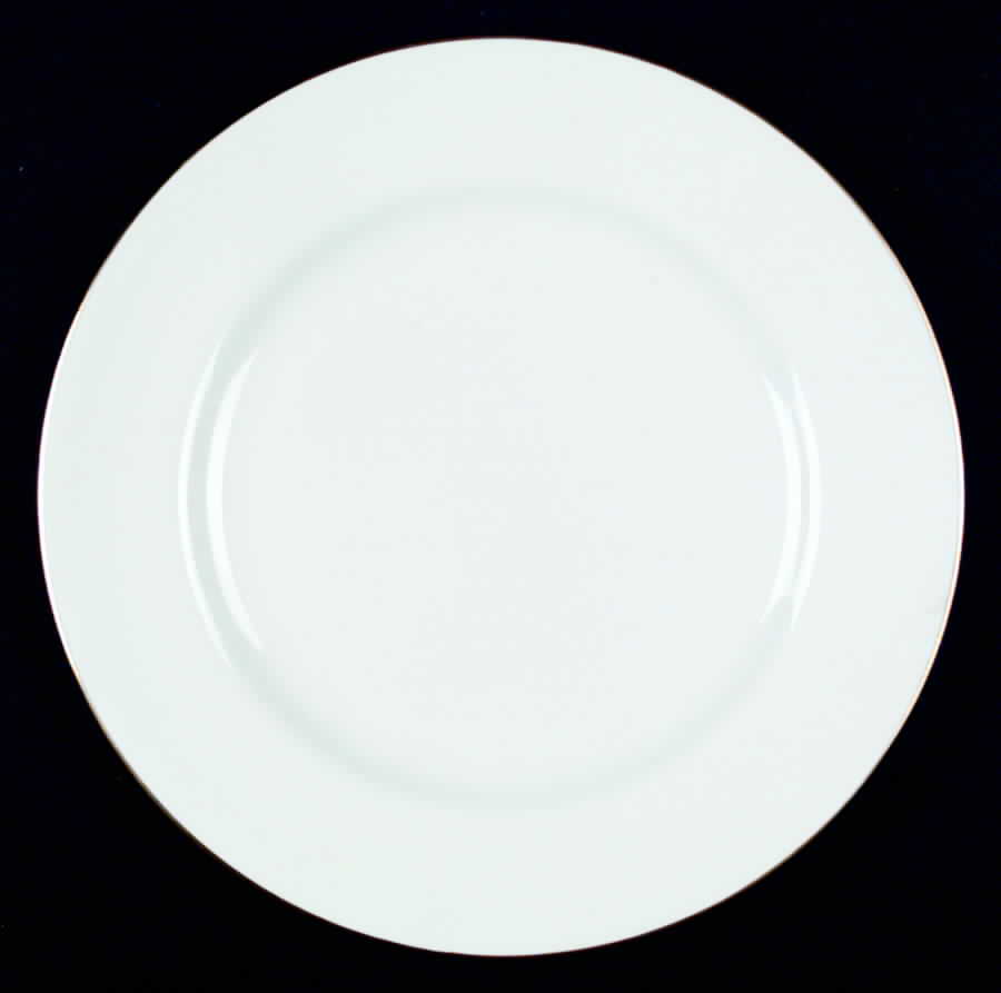 SP113 Dinner Plate by Spode-1