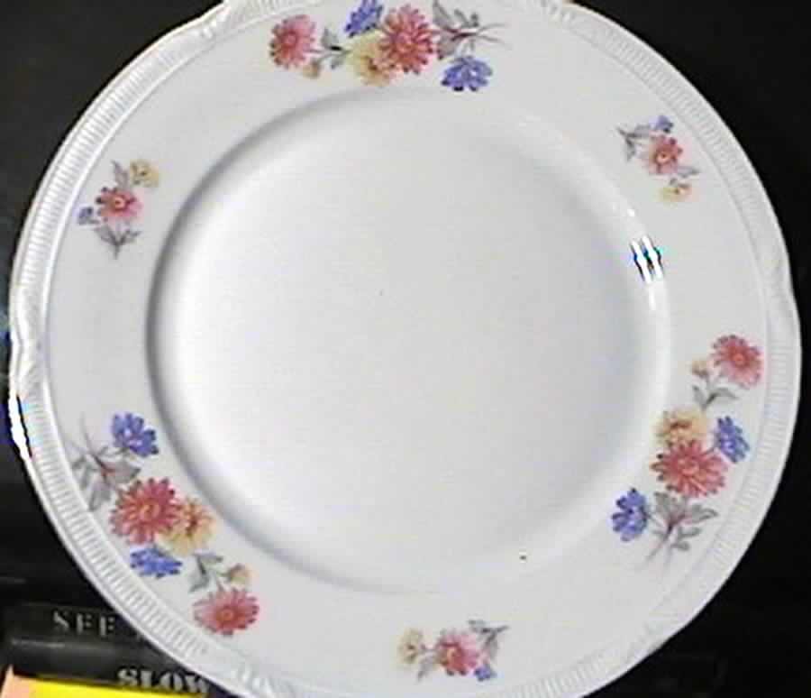 SCR28 Dinner Plate by Scherzer-1