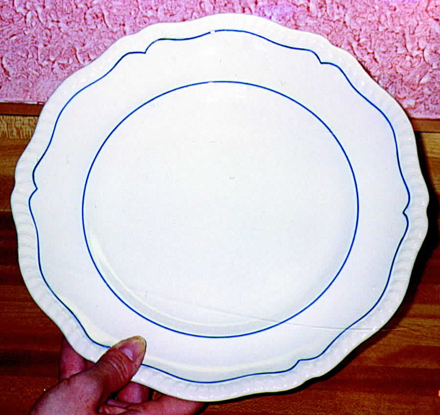 SP114 Dinner Plate by Spode-1