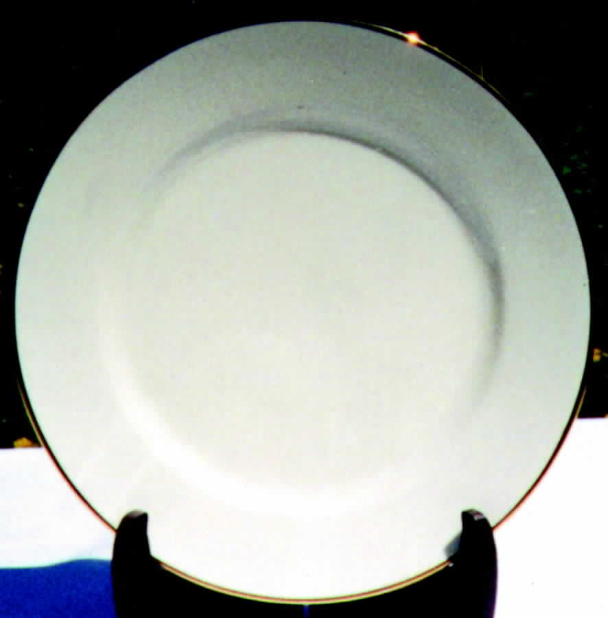 SCR29 Dinner Plate by Scherzer-1