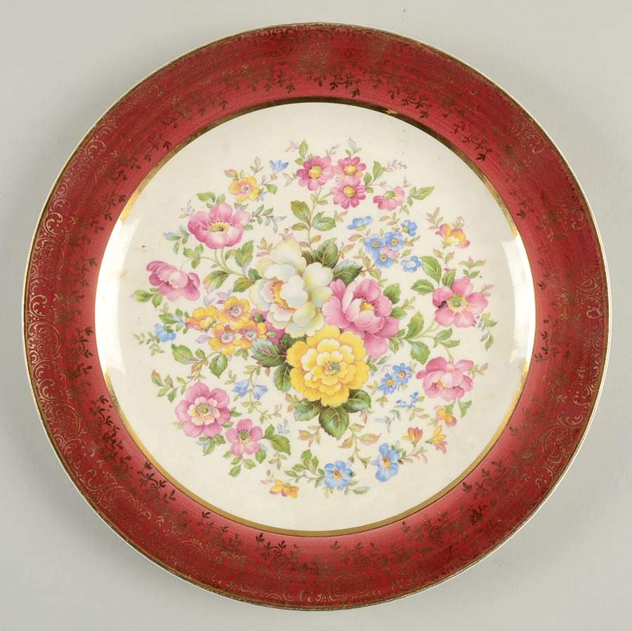 SLM445 Dinner Plate by Salem-1