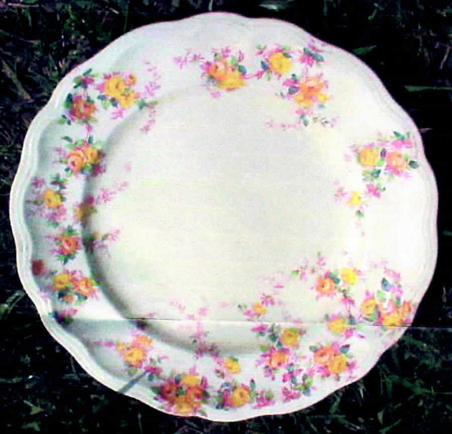 Clovelly Dinner Plate by Spode-1