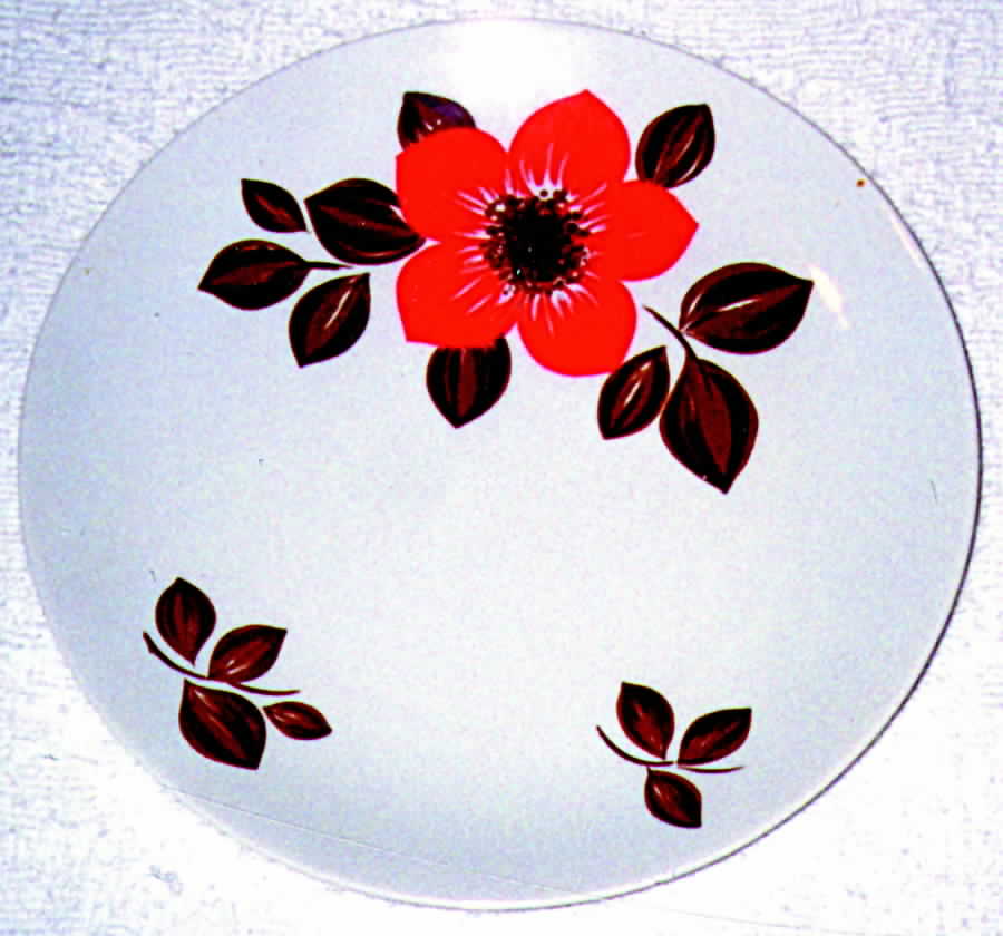 SLT100 Dinner Plate by Seltmann-1