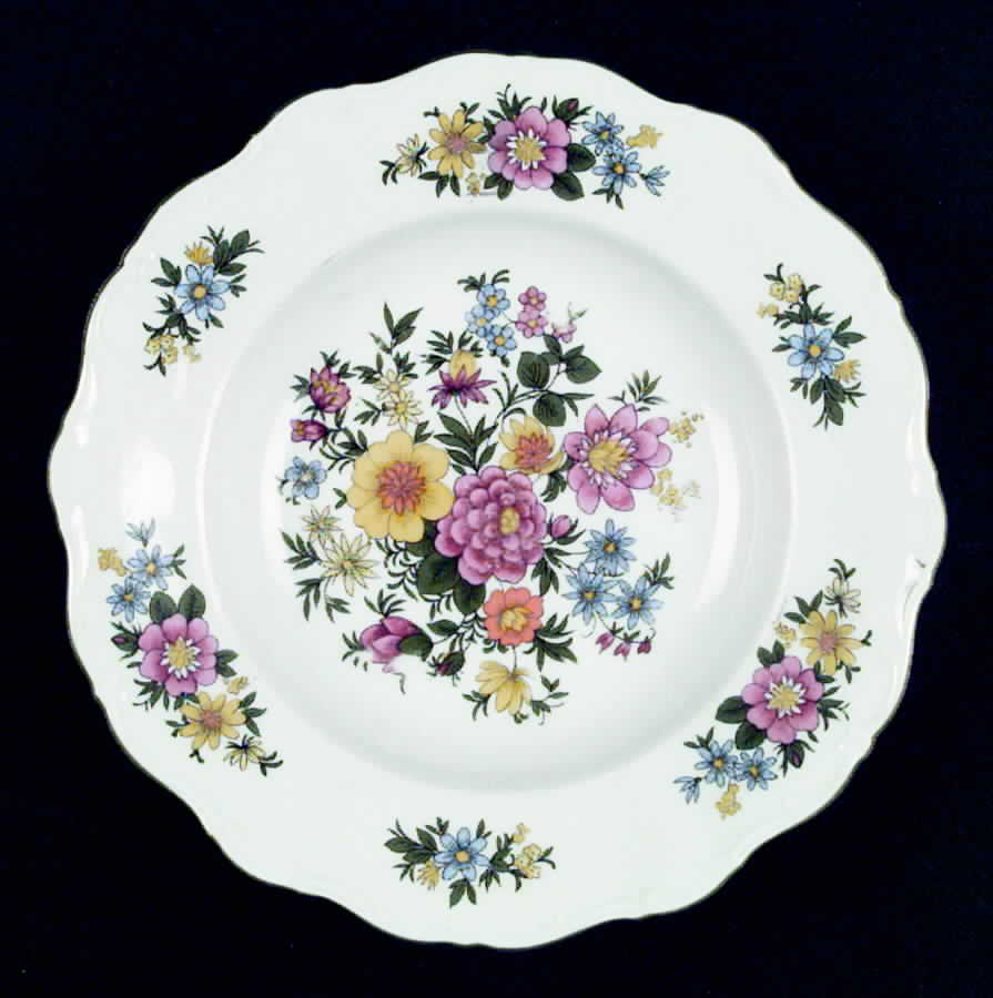 SLT101 Rim Soup Bowl by Seltmann-1