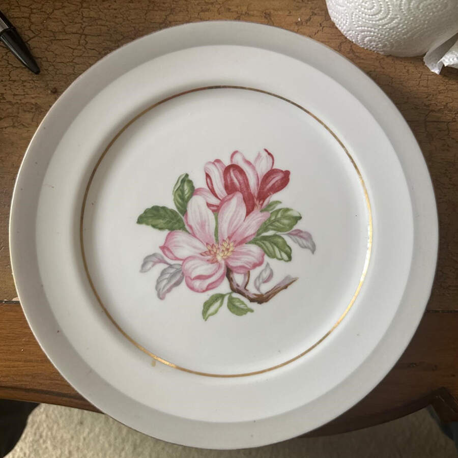 SON36 Dinner Plate by Sone-1