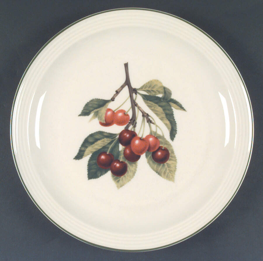 Fruit Medley Cherry Dinner Plate by Studio Nova-1