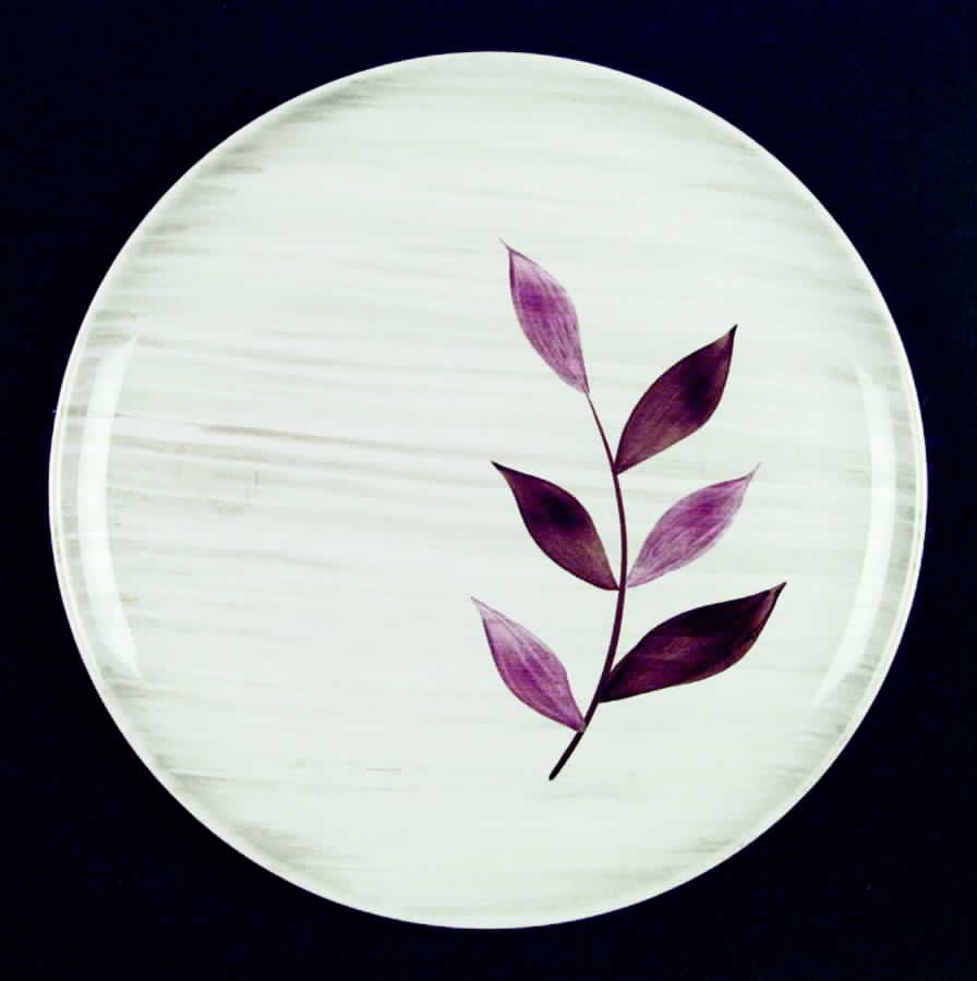 STT115 Dinner Plate by Stetson-1