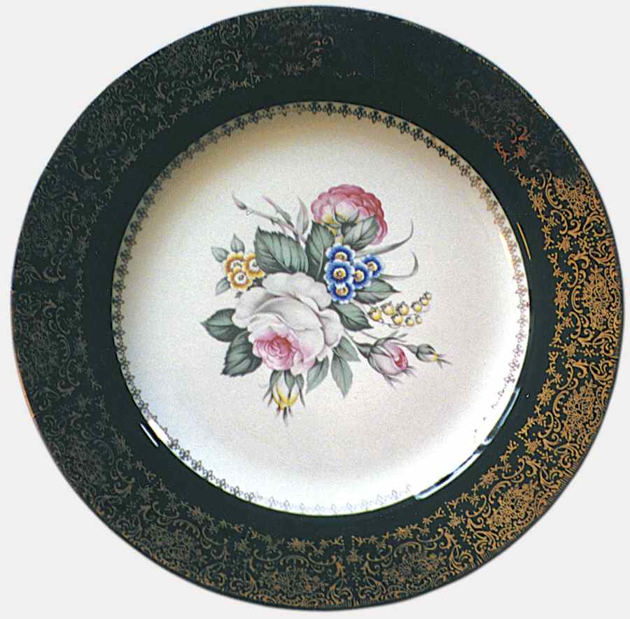 SLM138 Dinner Plate by Salem-1