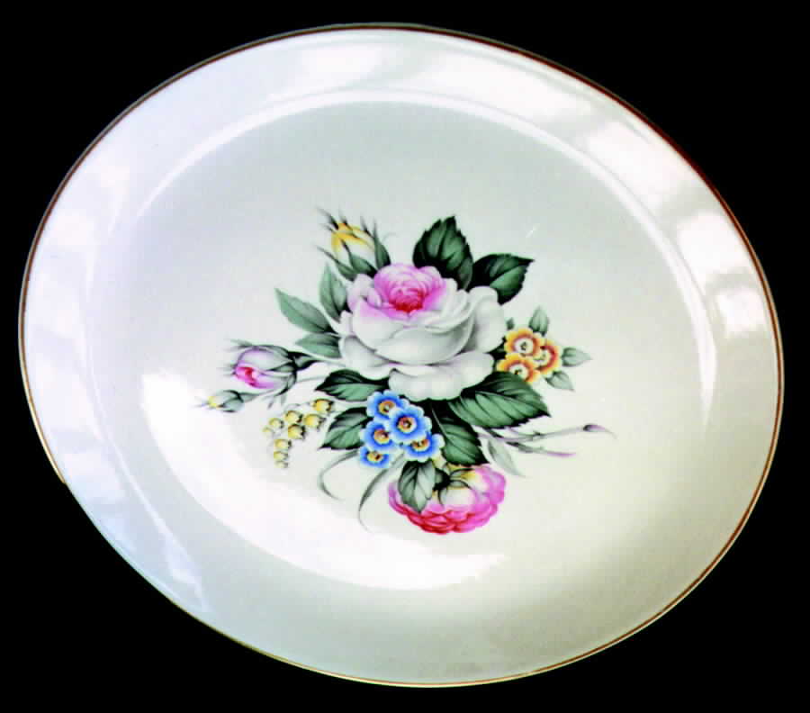 SLM139 Dinner Plate by Salem-1