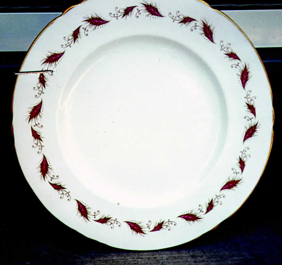 Gaiety Dinner Plate by Shelley-1