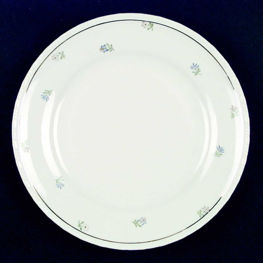 SCD17 Dinner Plate by Schonwald-1