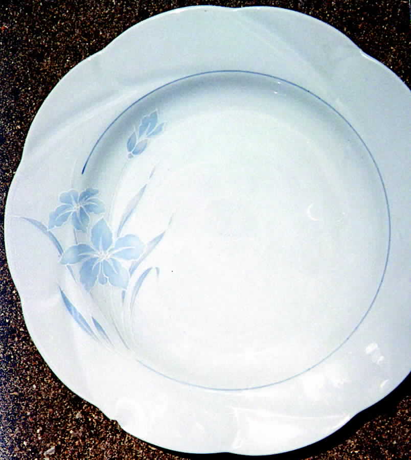 SLT104 Dinner Plate by Seltmann-1