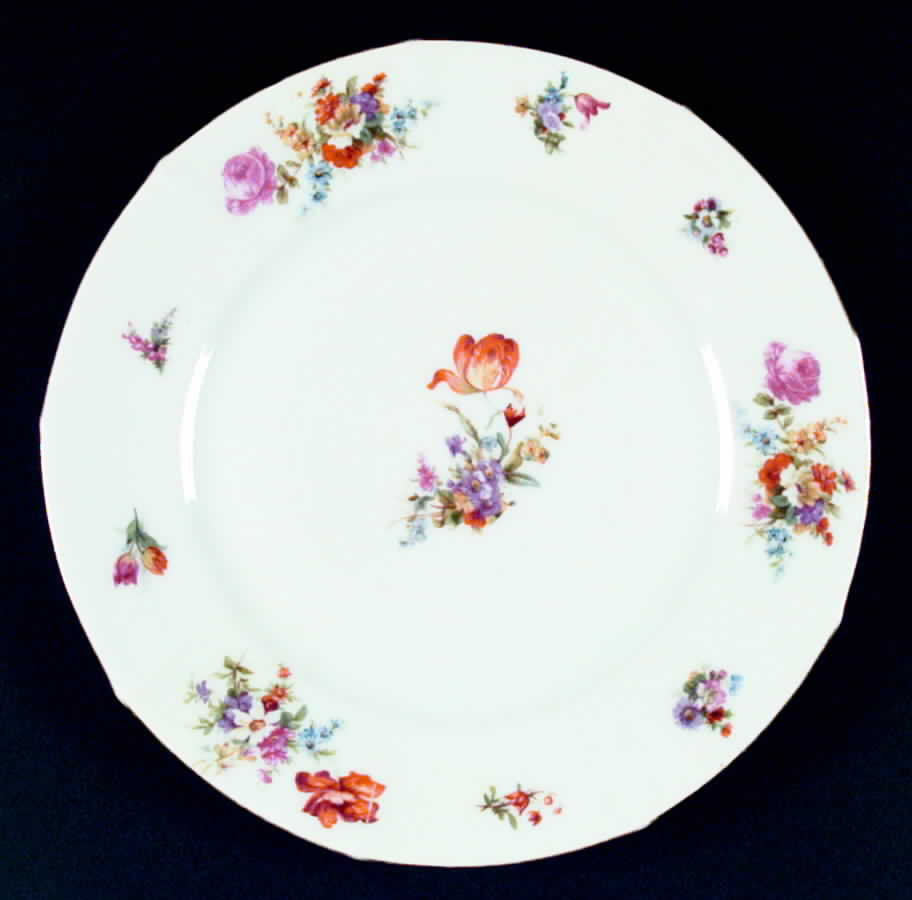 SCD19 Dinner Plate by Schonwald-1