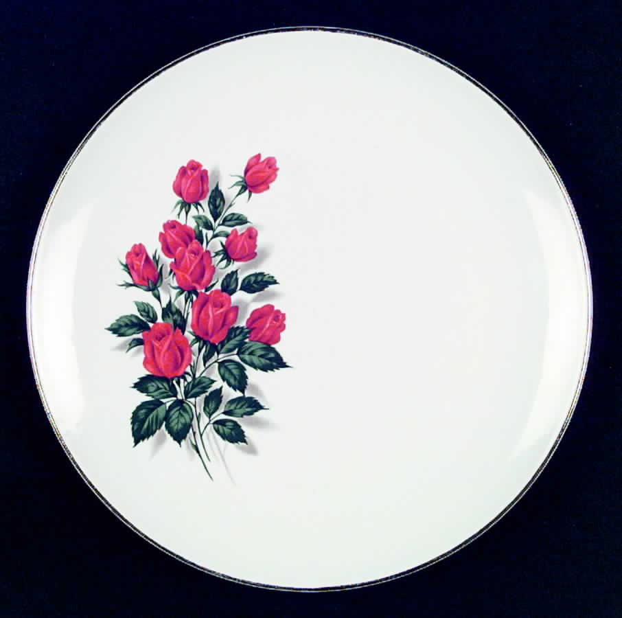 SLM144 Dinner Plate by Salem-1