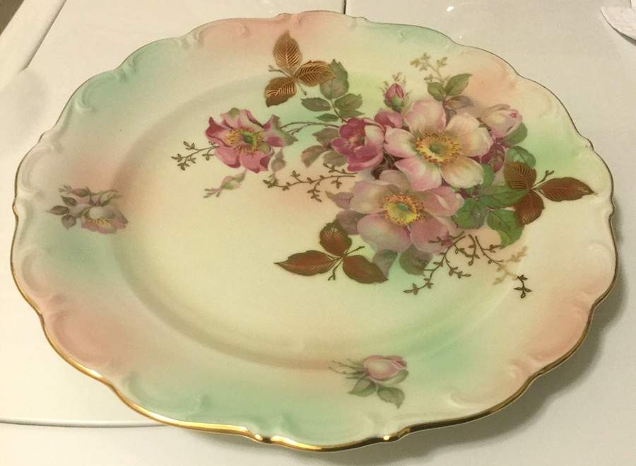 SCH155 Dinner Plate by Schumann - Bavaria-1