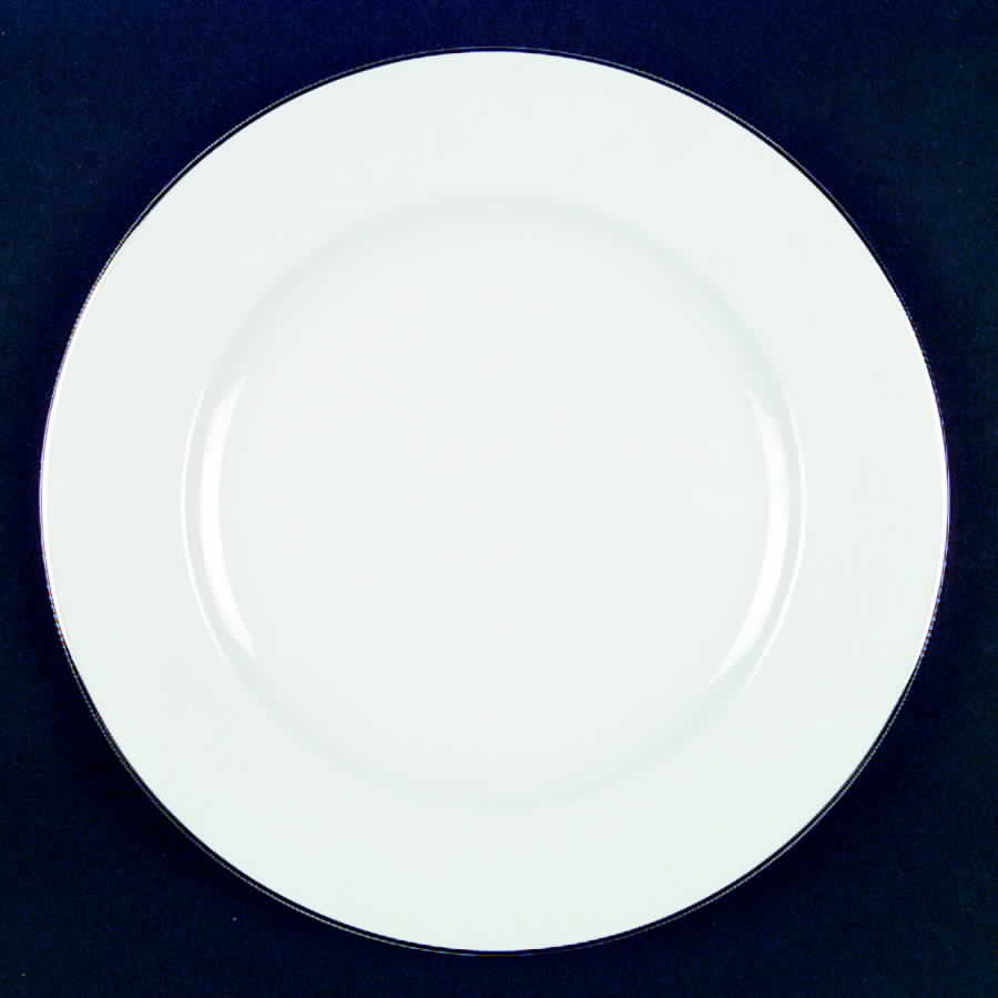 SY309 Dinner Plate by Syracuse-1