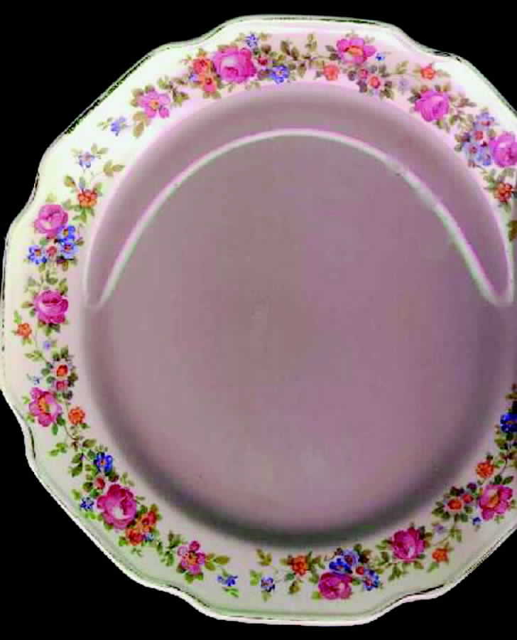 STT117 Dinner Plate by Stetson-1