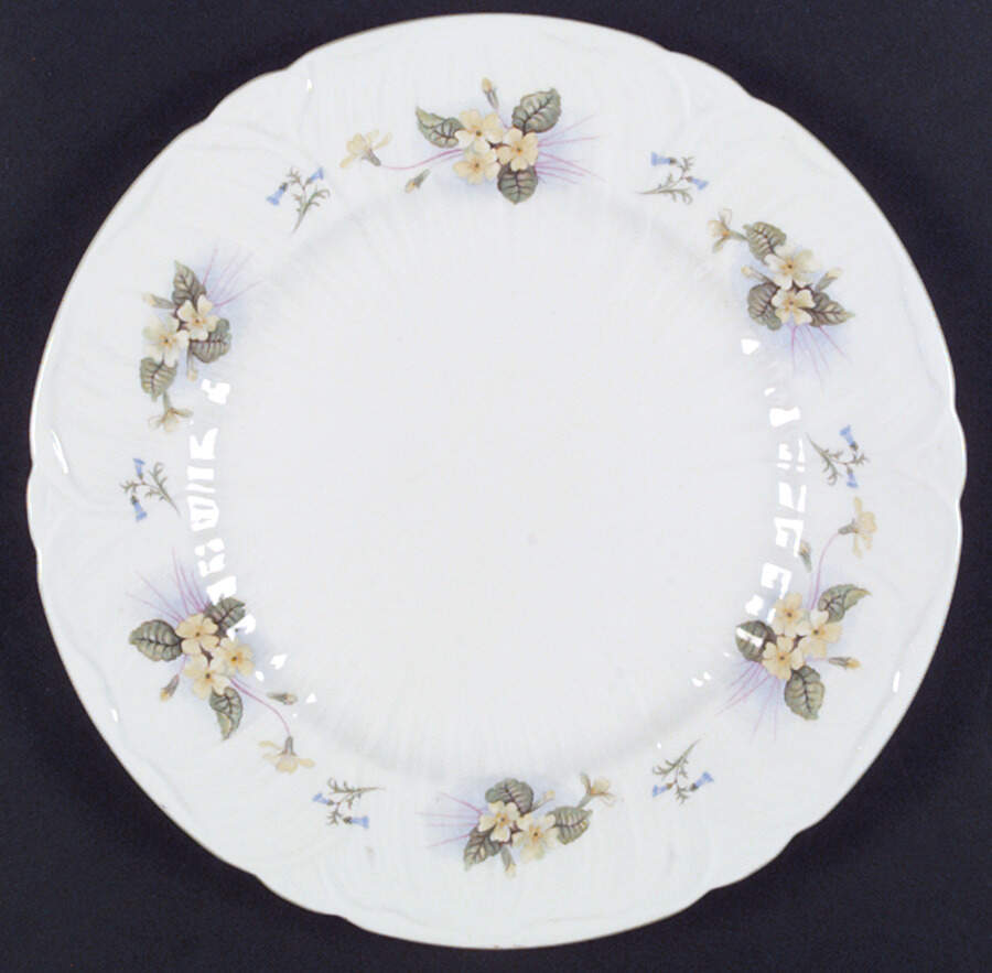 Primrose Dinner Plate by Shelley-1