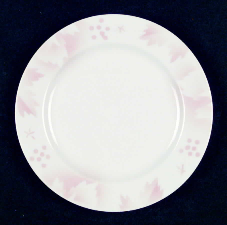 SY311 Bread & Butter Plate by Syracuse-1