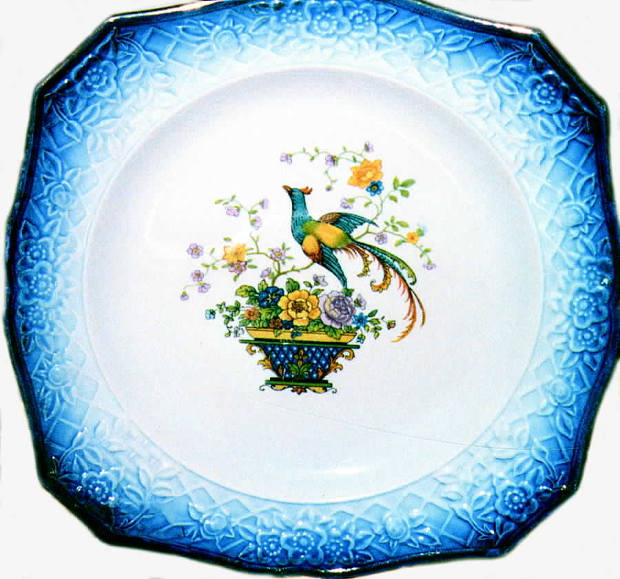 SLM145 Dinner Plate by Salem-1