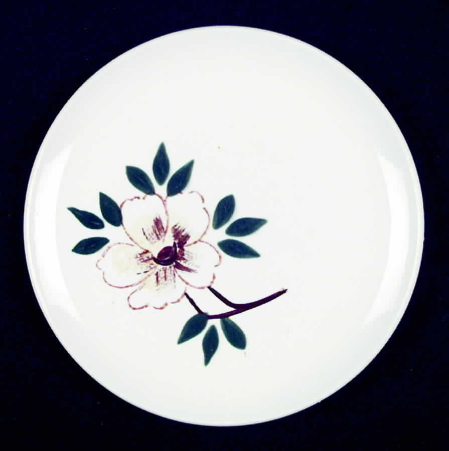 SLN2 Salad Plate by Salins (France)-1