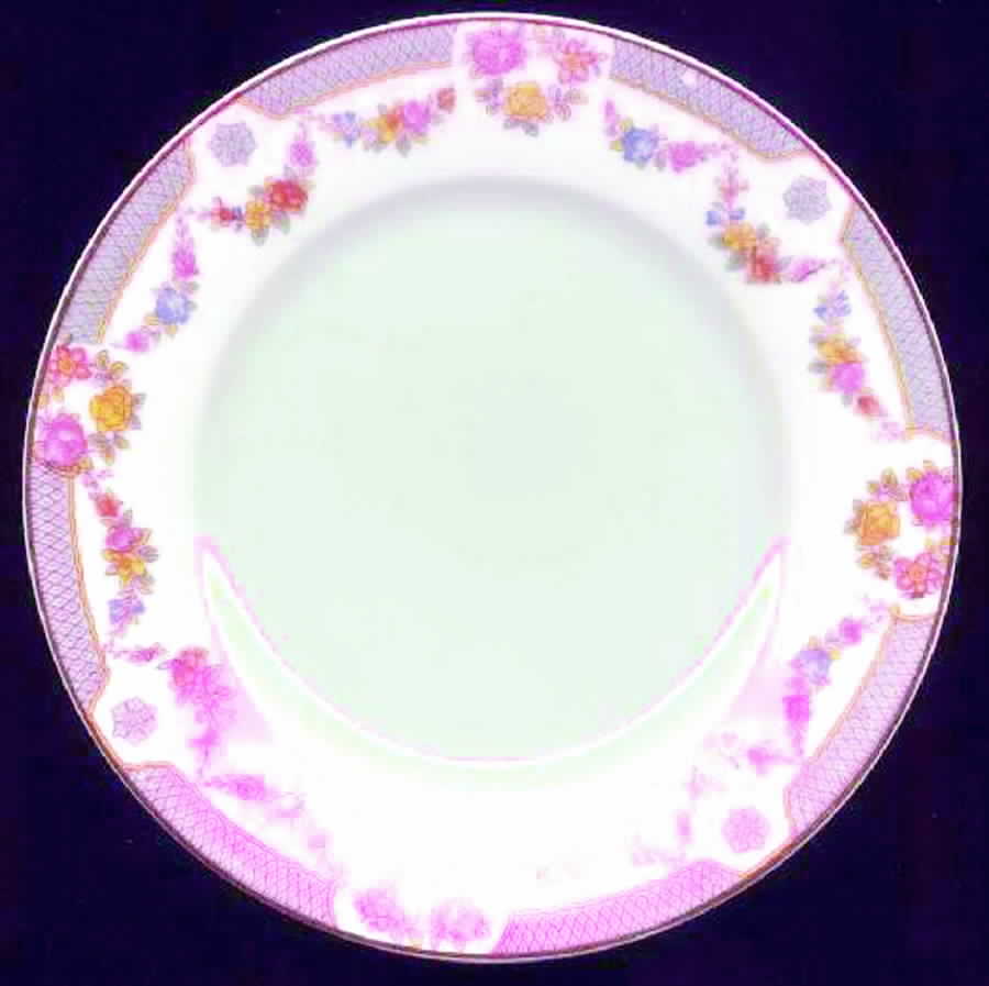 SCD20 Salad Plate by Schonwald-1