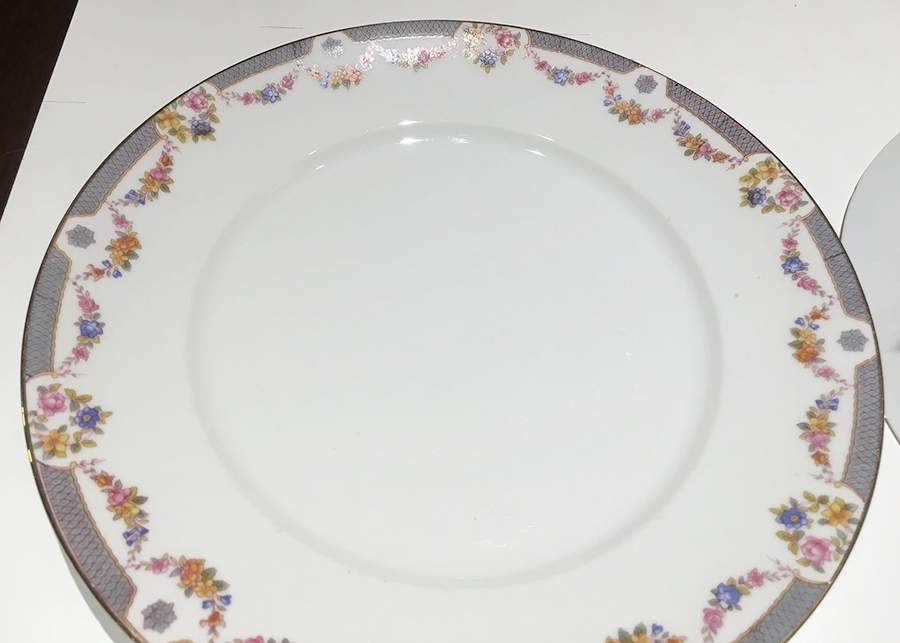 SCD20 Dinner Plate by Schonwald-1