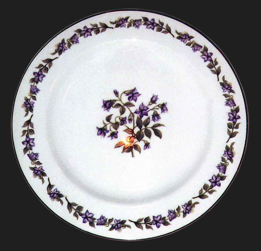 776 Dinner Plate by San-O-1