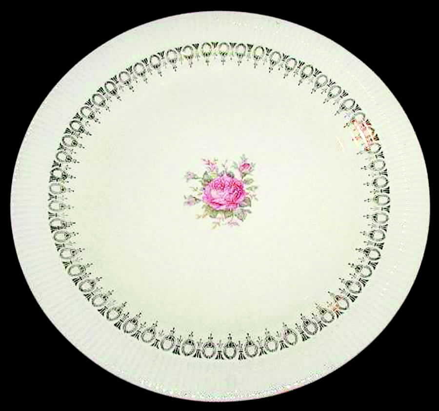 SLM146 Dinner Plate by Salem-1