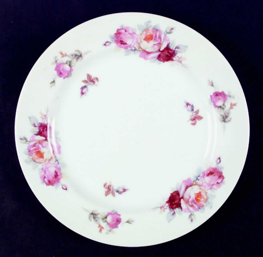 SAN33 Dinner Plate by Sango-1