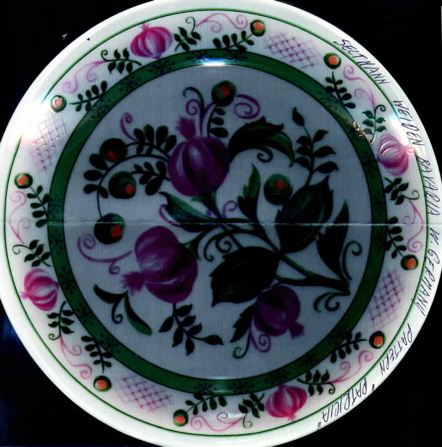 SLT106 Salad Plate by Seltmann-1