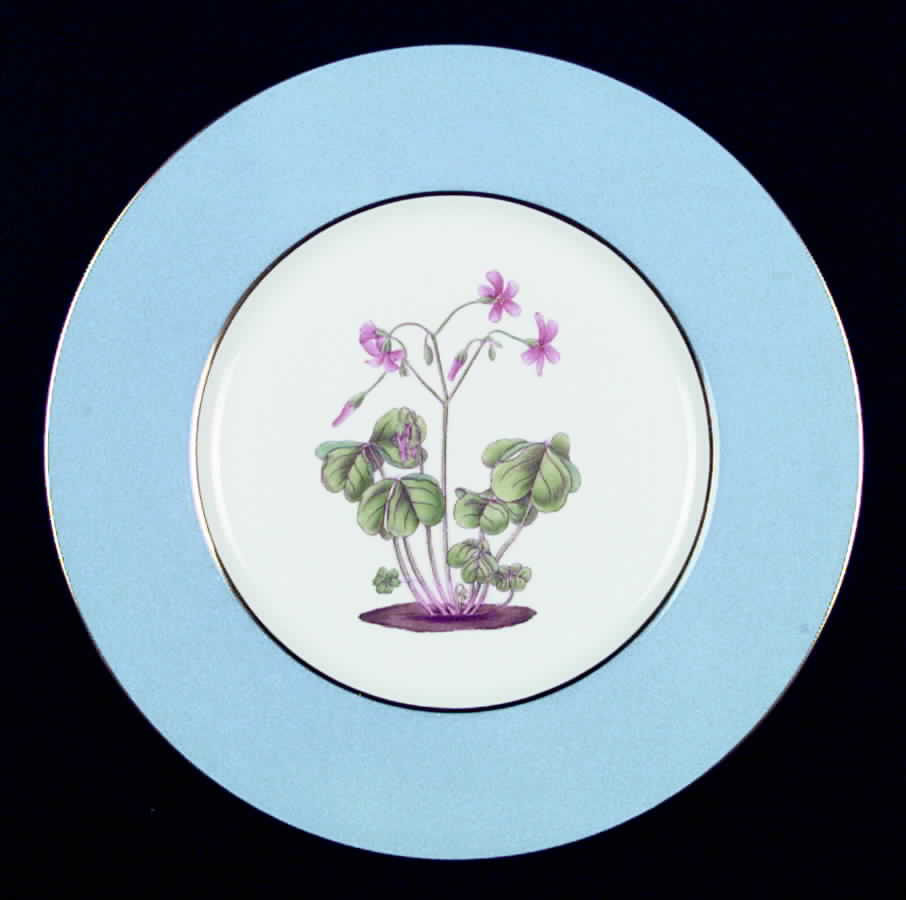 Y6285 Dinner Plate by Spode-1
