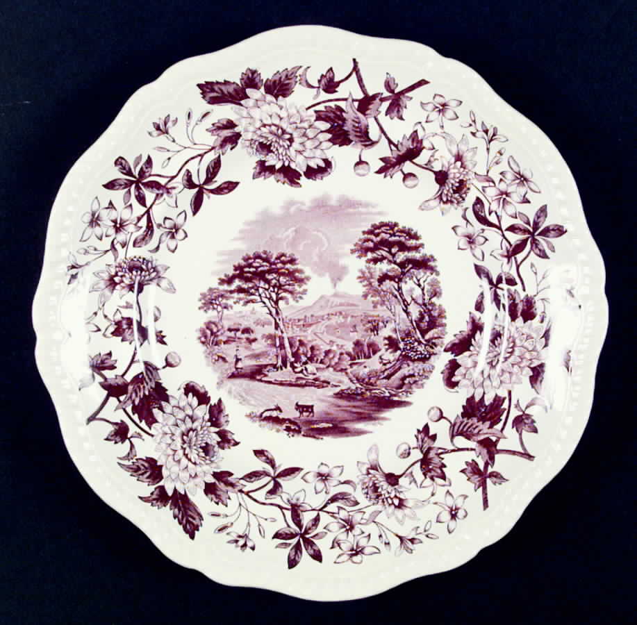 SP123 Dinner Plate by Spode-1