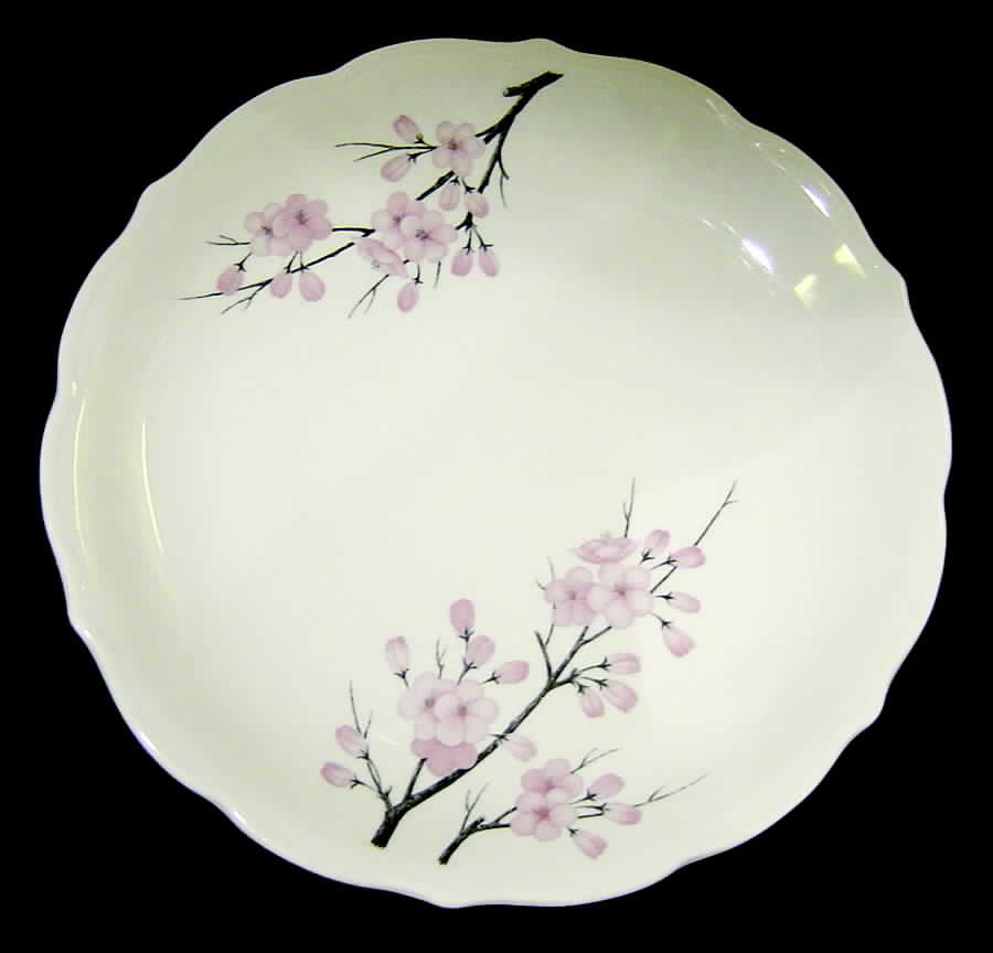 SY178 Dinner Plate by Syracuse-1