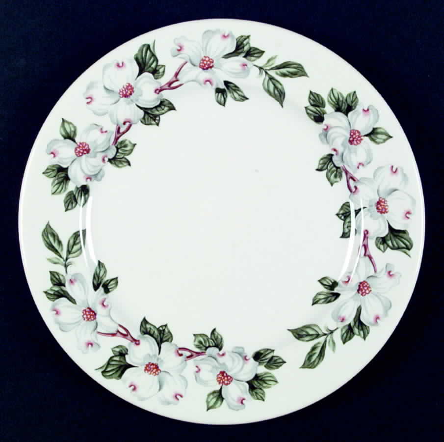 SY317 Dinner Plate by Syracuse-1