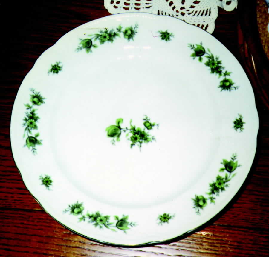 SLT111 Dinner Plate by Seltmann-1