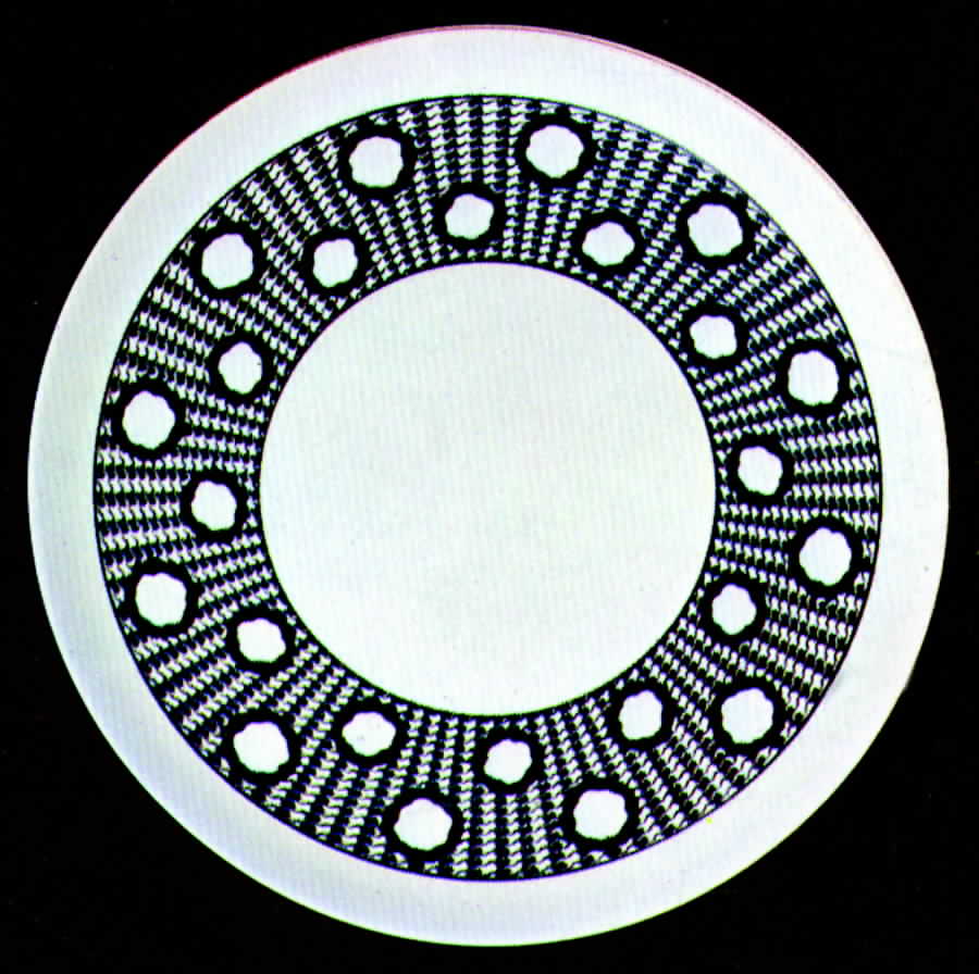 Oasis Dinner Plate by Sango-1