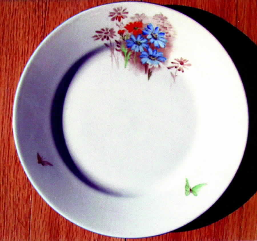 2225 Dinner Plate by Shelley-1