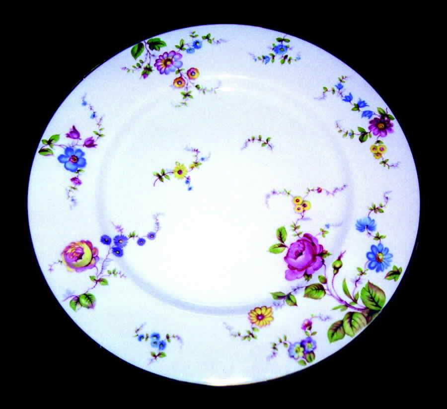 SHO108 Dinner Plate by Shenango-1