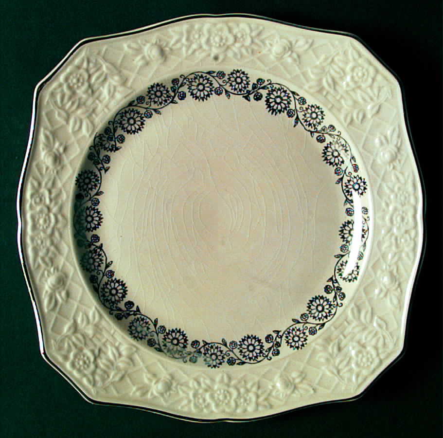 SLM150 Luncheon Plate by Salem-1