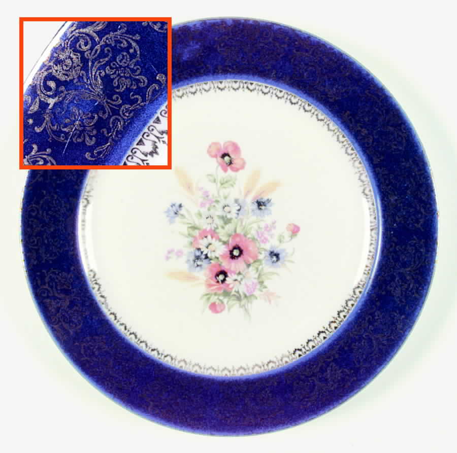 SLM151 Dinner Plate by Salem-1