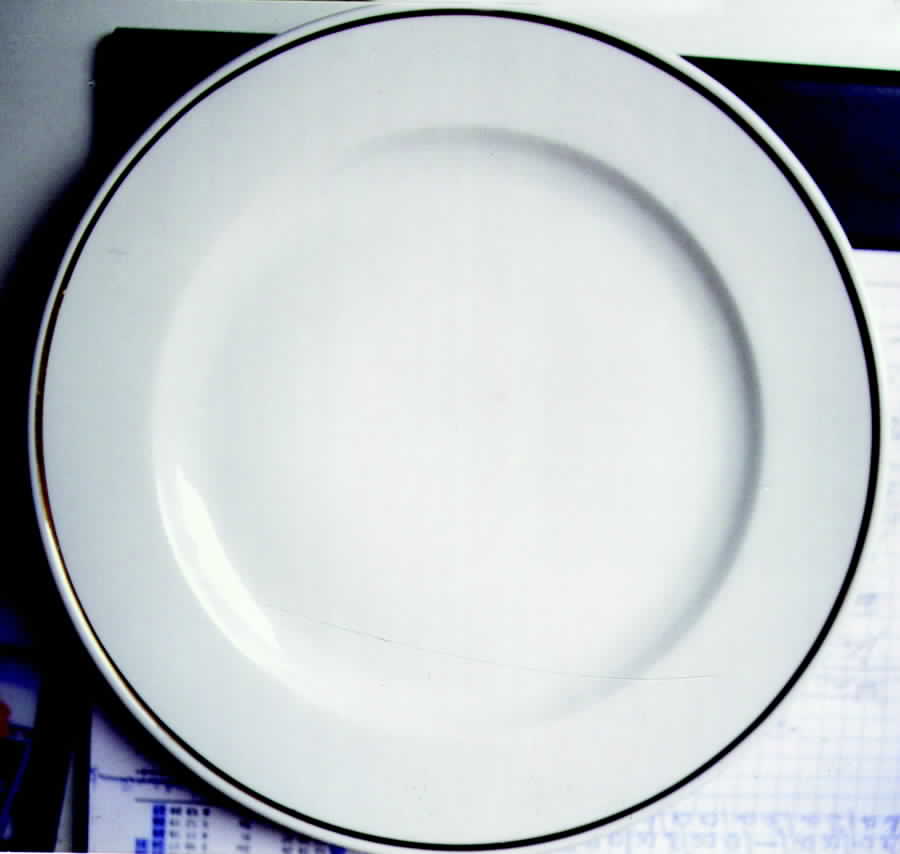 07403 Dinner Plate by Scherzer-1