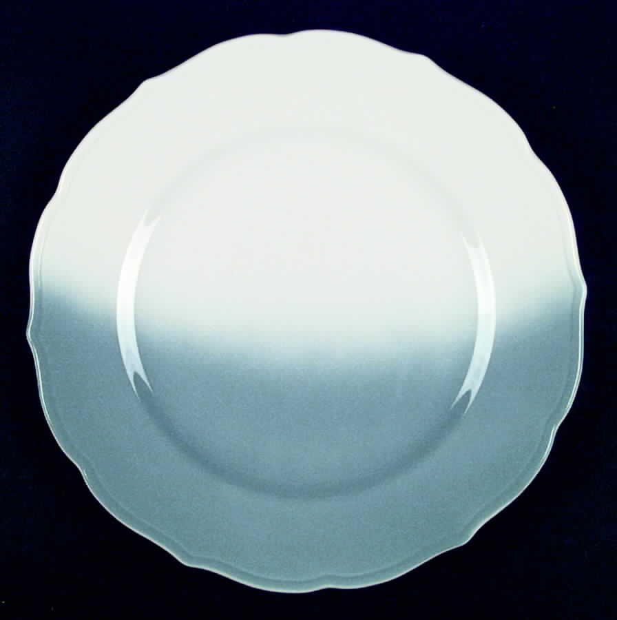 SY321 Dinner Plate by Syracuse-1
