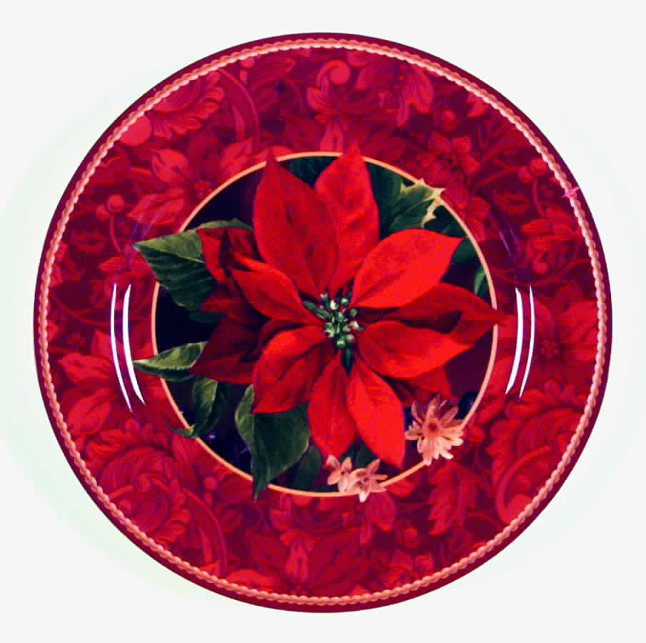 Holiday Abundance Salad Plate by Sakura-1