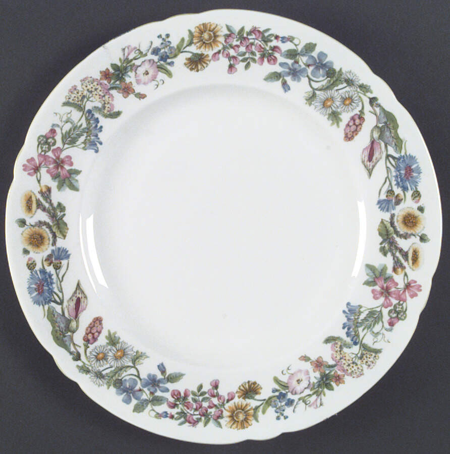 Hedgerow Dinner Plate by Shelley-1