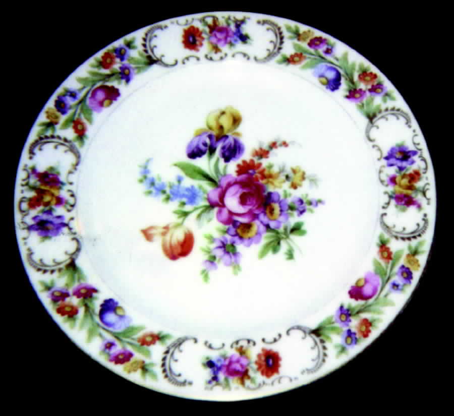 SCH168 Dinner Plate by Schumann - Bavaria-1