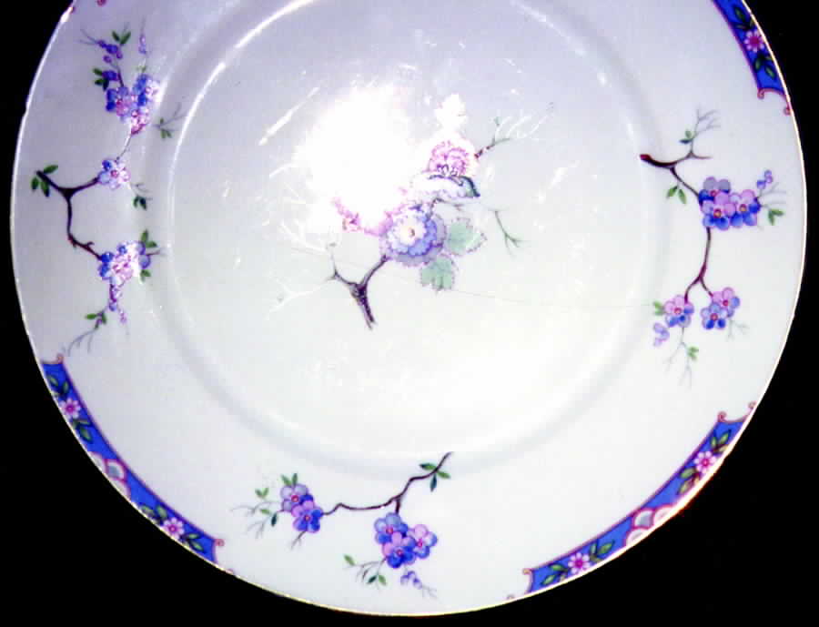 SCD25 Dinner Plate by Schonwald-1