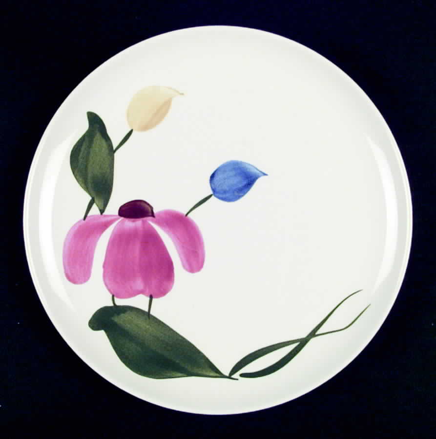 STT131 Dinner Plate by Stetson-1
