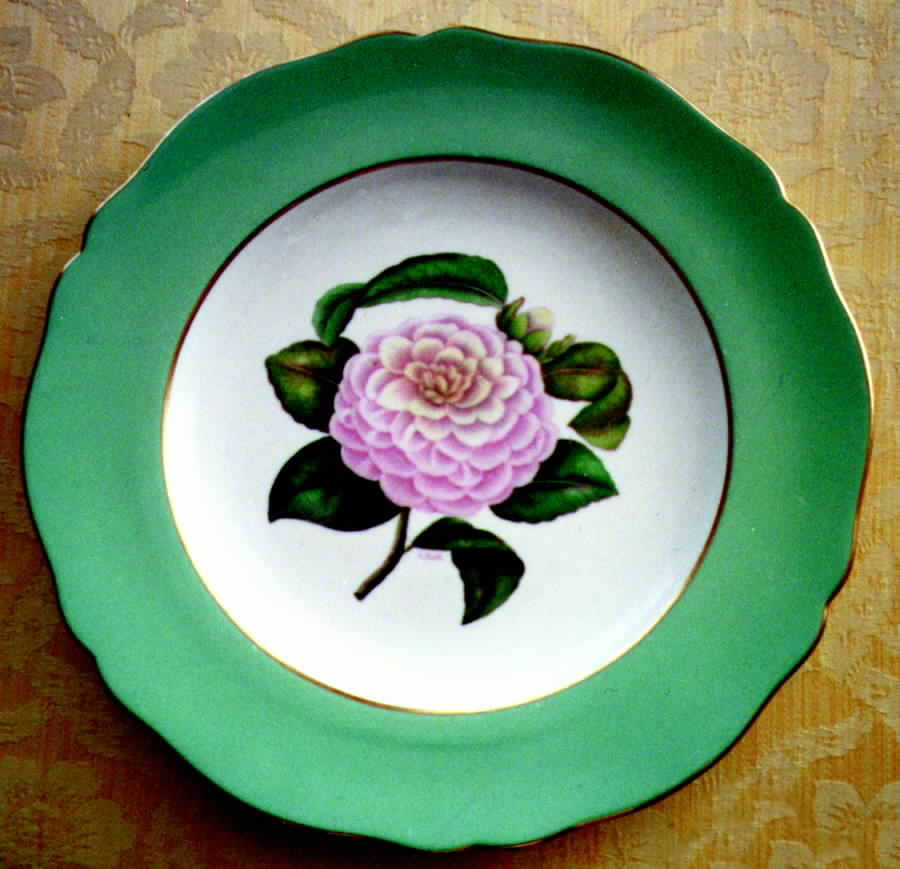 Camelia Dinner Plate by Spode-1